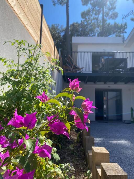 Guest House Dans Le Parc A 400M De La Mer サン・ジョルジュ・ド・ディドンヌ エクステリア 写真